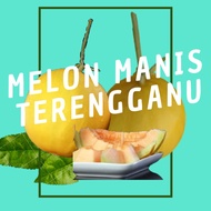[PAKEJ 5 biji RM10] Melon Manis Terengganu/ "Gold Honeydew"