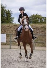 EKKIA 988480208 988480208 E-T.CLASSIC SOFTSH.JACK.BLK 8 988480208 Equestrian Equipment, Black