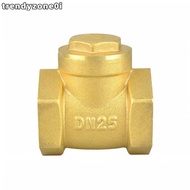 TRENDYZONE0I Swing Check Valve, 1/2" 3/4" 1" 1-1/4" 1-1/2" 2" Female Thread Non-Return Valve, BSP Br