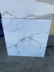 granit lantai 60x60 white carara glossy
