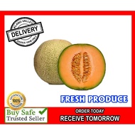 Fresh Fruit Rock Melon Klang Valley 1 piece (±2.0kg-2.5kg)