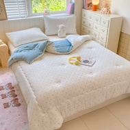 Taiwan Shipment Winter Quilt Warm Quilt Quilt Korean Quilt Winter Quilt Four Seasons Quilt Quilt Int