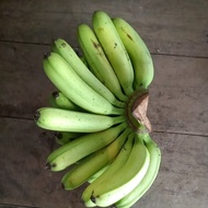 pisang berangan, banana