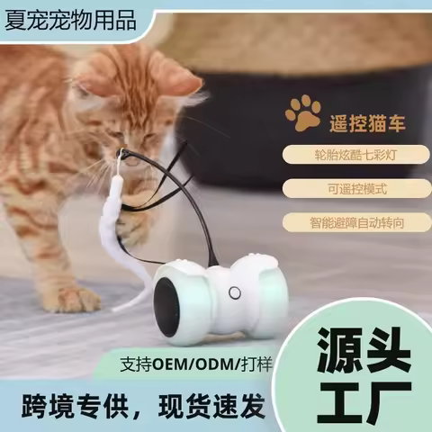 Electric toys Amazon hot-selling remote control intelligent balance car feather toys smart toys high