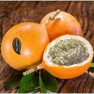 5 Pcs Ecuador Orange Passion Fruit 歌伦比亚黄金百香果种子 Ready Stock Sarawak