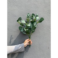 Daun Silver Dollar Buah Silver Dollar  Silver Dollar Leaf Wedding decortion Silver Dollar Leaf Artif