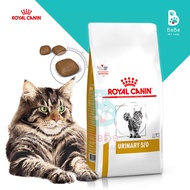 [1.5Kg] Hạt ROYAL CANIN Urinary S/O Feline - Thức Ăn Hạt Hỗ Trợ Sỏi Thận Cho Mèo