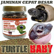 Makanan pakan anak bayi kura kura baby turtle res brazil  ambo ast cst