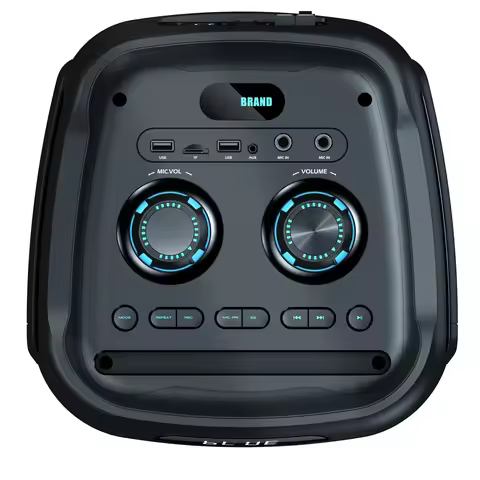 Dual 8 Inch Trolley Speaker With Wireless Microphone Portable DJ KTV Audio Player Outdoor Party Ster