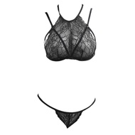 B223 - Transparent Black Bikini Bra Set