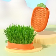 Cat Grass Potted Hair Grass Wheat Seed Seed Seedling Tray Catnip Soilless Hydroponic Cat Grass Box