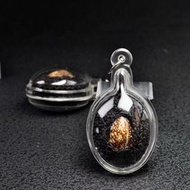 龍‮堪婆‬布2556二期擋降貝(背入自身)