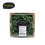 AQUA GREEN 日本種子紫羽衣甘藍 (200g) - 1盒