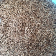 Fine Cumin White Cumin/ Jeera/ Cumin Seeds 100g