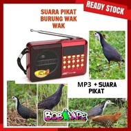 Suara Pikat Burung Wak Wak / Memikat Burung Wak Wak./ Radio / MP3 JOC RADIO