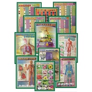 Paper Chart for Educational Science Subject