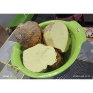 1KG UBI GADONG / UBI GADUNG KUNING