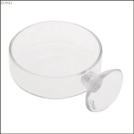 Zone Glass Feeder Dish 2 4 Inches Wide 0 7 Inches Deep Transparent Round Food Bowl for Catfish Cory Pleco Bottom Feeding