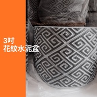 [Foliage Demon] 3 Inch Pattern Cement Pot Plain Elegant Foliage Succulent Plant