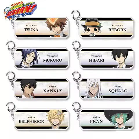Katekyo Hitman REBORN Tsuna Hibari Mukuro Xanxus Squalo Belphegor Fran character Name Badge Acrylic 
