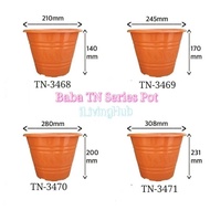 Baba Biodegradable Flower Pot TN-3468, TN-3469, TN-3470, TN3471