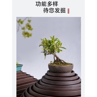 Tray Purple Sand Hydroponic Ceramic Flower Plate Shallow Pot Rectangular Bonsai Rockery Pot Holder