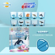 Đồ Chơi Tắm Cho Trẻ Em Bandai Pokemon Bath Ball Toy Blind Box Dragon Fish King Bubble Bath Toy for K