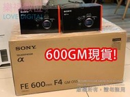 樂福數位 Sony FE 600mm f/4 GM OSS Lens 公司貨 預定