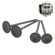 Motorcycle Engine Valve Inlet And Exhaust For ZONGSHEN-Motor Racing NC250 ZS177MM 250cc 4 Stroke  KA