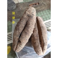 猪婆参 Sea Cucumber  1kg