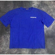 Patagonia t-shirt f4k3 minus (Read product description)