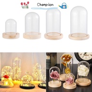 CHAMPIONO Glass cloche Plants Home Decor Terrarium Glass Vase Jar Wooden base