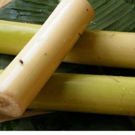 MURAH pelepah pisang/ gedebog pisang