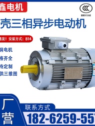 Motor Vertical Aluminum Shell 90 Flange 7501 Jiangsu 10 Pinxin B Motor Three-Phase Small 250 Oil Pum