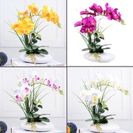 Artificial Orchid Faux Orchid Table Plant Decoration Interior Hari Raya