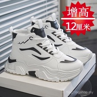 Height Increase Shoes Men 12cm Spring Youth Sports Casual Shoes Invisible Inner Height Increase 10cm