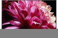 【天笙音響TV23M5】SONY XR-65X95K 美規兩年保固 (支援繁體中文介面、國語語音)