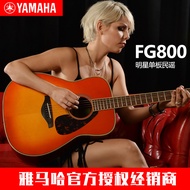 Genuine YAMAHA YAMAHA Guitar fg800/820/830/850 fs Boys Girls Beginners Folk Ballad Veneer