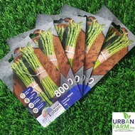 CROP POWER Jom Tanam Green Wand Biji Benih Asparagus (800) 30 Seed / Asparagus seeds