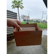 Box [49v x 7ng] containing Vichimaxs