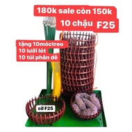 Combo of 10 pumpkin pots F25-10 hangers 70cm - 10 pot liners - 10 bags of goat manure (40 Piece ) pa