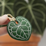 HANS -  圓葉花燭 / 明脈花燭 / Anthurium clarinervi 吊飾