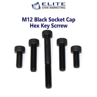 M12 Black Socket Cap Hex Key Screw/M12 Screw HEAD ALLEN KEY SCREWS