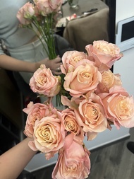 粉色厄瓜多爾玫瑰花束