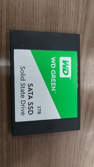 極新WD Green 1TB 1000GB SATA SSD，有health report