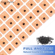 [CrownFamily] 60/300 Stickers Ear Point Stickers Ear Pressure Acupuncture Seed Bead Ear Massage Stic