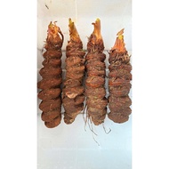 Ginseng root 7 leaves 1 flower - seven leaflet chi mai
