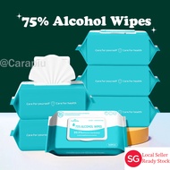 75%Alcohol Wet Wipes 10pcs/50pcs Disposable Wet Wipes for hands/skin/public objects 99.99% Effective