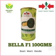 ▦ ∇ Kalabasa (Squash) Bella F1 East West seeds 100gms