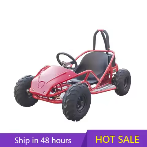 YTYIN Shaft Driving Adult Electric Go Kart , Mini Go Karts for Adults Racing Child Go Kart